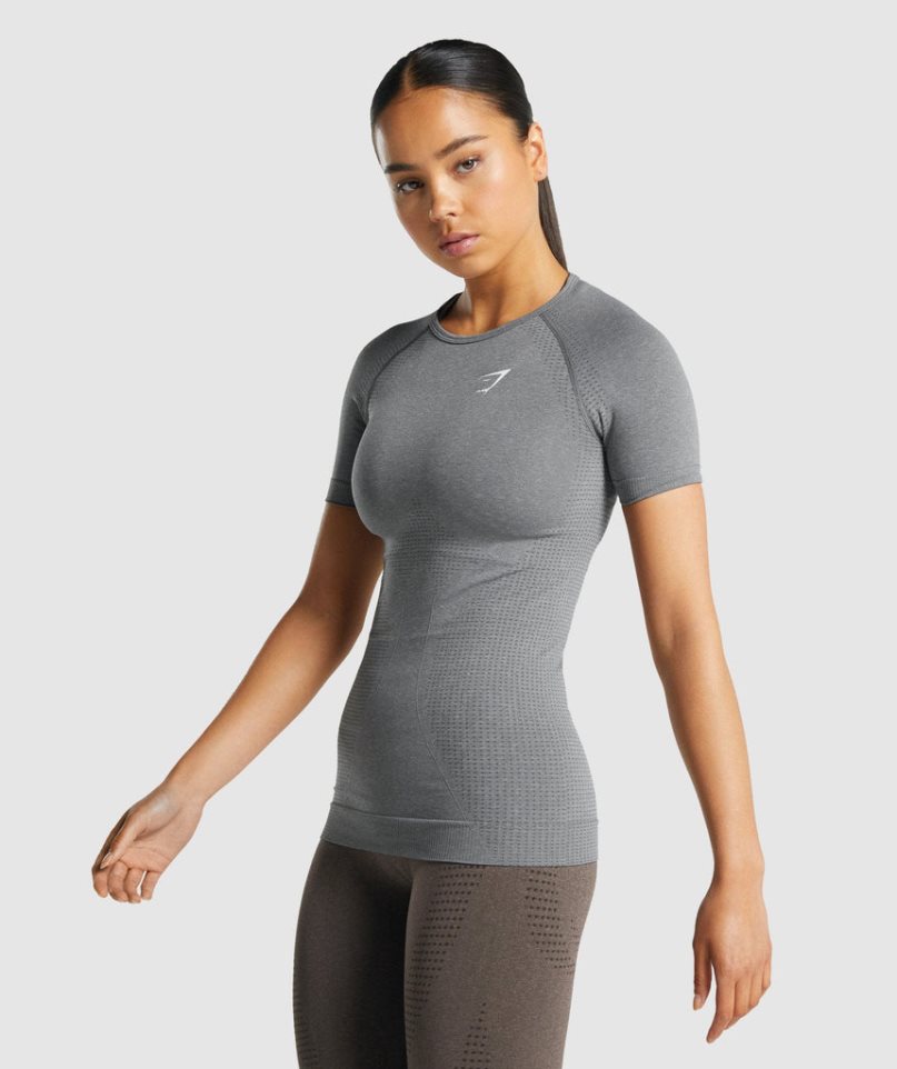 Women's Gymshark Vital Seamless 2.0 T-Shirts Grey | CA N30A51